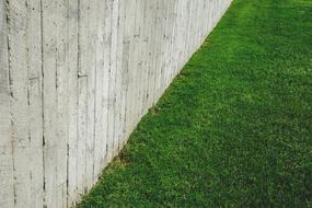 green lawn and white wooden fence