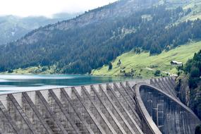 Architecture Concrete Dam and Fir trees