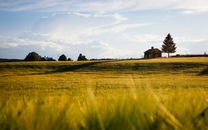 wonderful Agriculture Blur Countryside