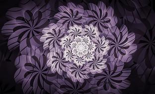 fractal floral striped lavender drawing