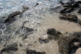 ocean shore in summer