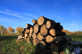 Russia Siberia Omsk wood stack