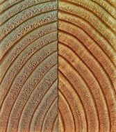 Wood Grain, texture