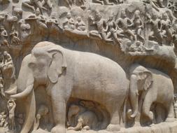 Elephant Mahaballipuram Temple