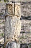 Owl Wood