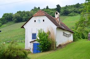 Beautiful and colorful building, among the colorful and beautiful vineyard and trees, on the landscape