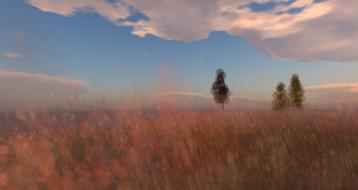 nature grass sky clouds