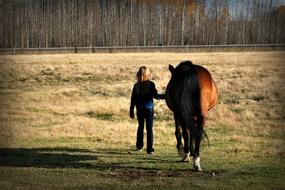 girl with a horse among the autumn landscape