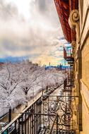 Beautiful, snowy trees, near the building in Manhattan, New York City, America