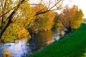 Golden Autumn Trees and river