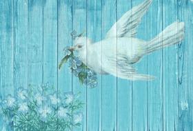 painted dove with flowers on a blue fence