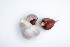 Garlic Food Spices