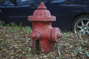 one street red Fire Hydrant