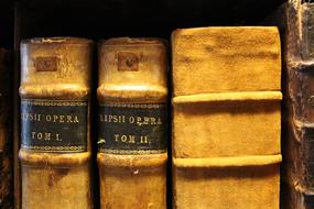 photo of three antique books in library