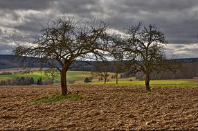 Agriculture Arable Field