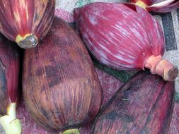 purple tropical fruits