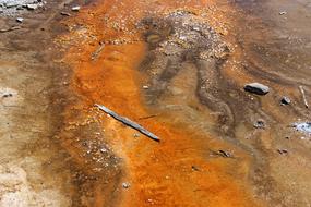 Background Landscape Orange drawing