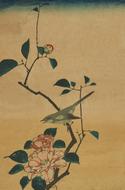 vintage japanese art retro drawing