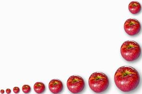 Fruits Background, red apples, corner