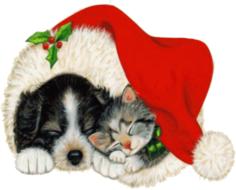 dog cat christmas sleep drawing