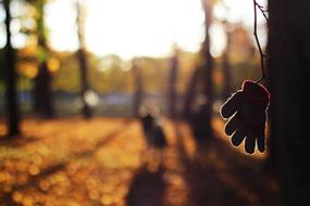 Autumn Blur hand