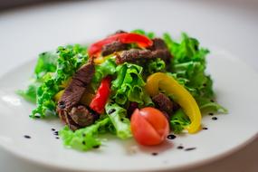 vegetable and meat salad