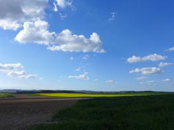 Beautiful green and yellow field landscape under blue sky with white clouds