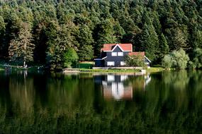 Lake Bolu Nature