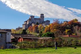 autumn forest with a castle