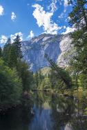 forest River Nature at Summer