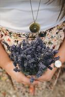 lavender bouquet in female hands