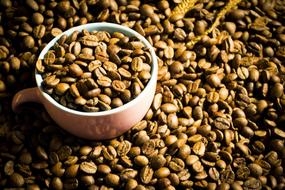fragrant coffee beans in mug