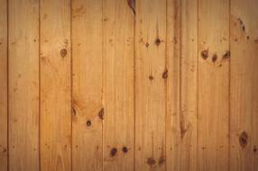Abstract Backdrop wood drawing