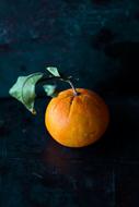 Color Fruit Grow