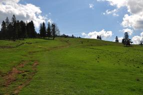 Mountains Polyana Grass