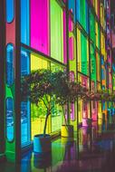 splendid Building Colorful
