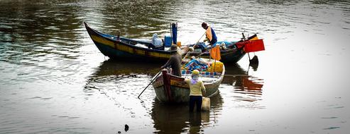 Life The Sea Vietnam