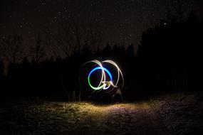 Long exposure Light at night Forest