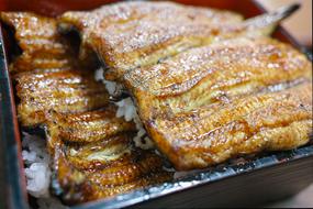 Japanese eel dish