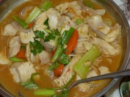 Chicken soup