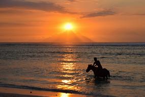 Indonesia islands horse rider