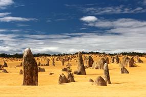 Desert Dry Landscape