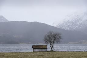 Barn Fog Lake