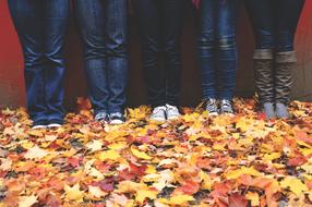 Wearing boots on the leaves in autumn