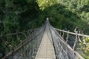 Taiwan nature bridge