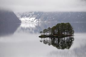 Fog Lake Landscape