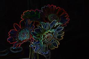 flower light neon colorful blossom