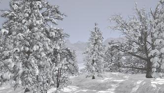 winter landscape snow wintry tree