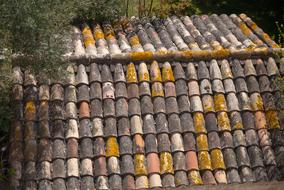 Roof Bricks