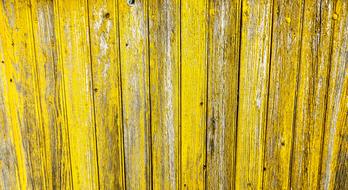 yellow wooden wall